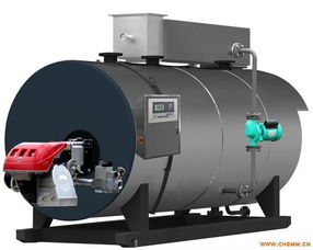 臥式冷凝常壓熱水鍋爐與LNG低溫常壓儲罐 核心技術、廠家概覽與市場展望